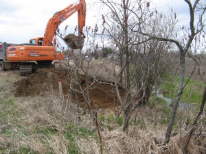 verdissement de berges résidentiel