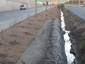 verdissement de berges