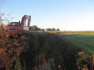 verdissement de berges commercial