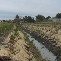 Végétalisation des berges
