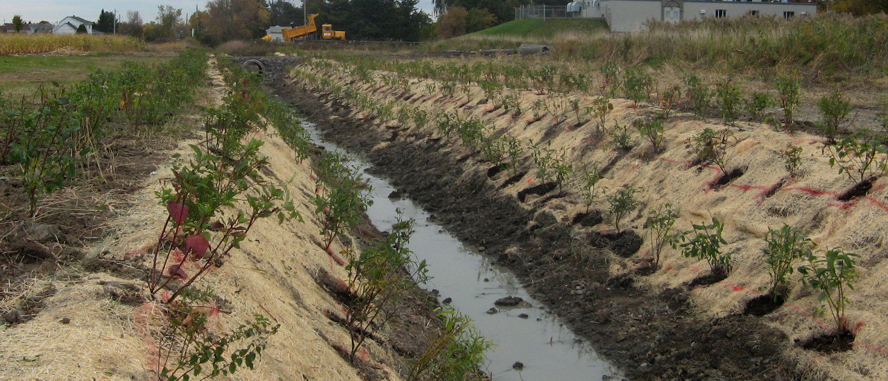 Végétalisation de berges